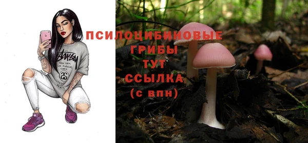 бошки Нягань