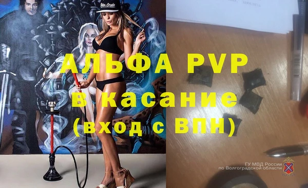 прущие крисы Няндома
